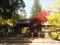 石灯籠が並ぶ表門、色づくもみじが迎えてくれました。

槙尾山　西明寺　
830年頃に空海の高弟、智泉大徳が神護寺の別院として創建したと伝わります。その後荒廃。