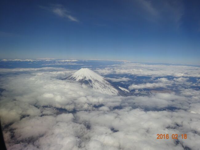 富士山が綺麗に見えました