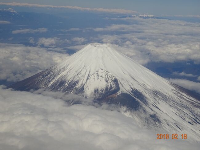 富士山が綺麗に撮れました