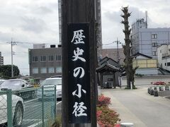 上野からＪＲ線・東武線を乗り継いで、館林についたのは、１０時過ぎ。
「つつじが丘」へ行くバスは無く、せっかくなので、「歴史の小径」といわれる通りを巡っていくことにする。