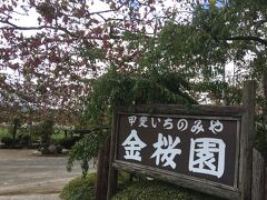 次は今回のメインイベント、ぶどう狩り♪
平日だったから、空いていました。

ぶどうの種類ごとに料金が決まっています。
種類を試食させていただけました(*^^*)

我が家は甲斐路にしました。