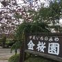 2018年10月　山梨旅行