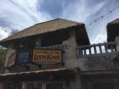 Lion Kingのスタンバイです。15時からショー開始になりますが、14:30ころに並びました。ファストパスいらないと思います。ほとんど一番前に座ることができました。