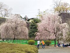 次は盛岡城址公園へ。

まだ少し桜が咲いていて、お花見客がちらほらと。