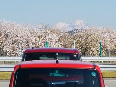 上信越自動車　小布施PA
桜と妙高山
朝食食べて、8時出発