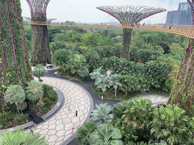 Jgc修行 おひとりさまシンガポール3日目 前編 未来植物園ガーデンズ バイ ザ ベイで考えた シンガポール シンガポール の旅行記 ブログ By Hotty Pottyさん フォートラベル