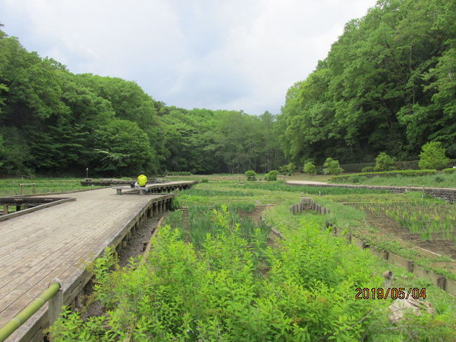 東青梅 塩船観音ハイキング ３ 吹上菖蒲園を経て塩船観音寺へ 青梅 東京 の旅行記 ブログ By ちゃおさん フォートラベル