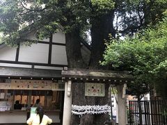 たくさん食べたので、渋谷から散歩して帰る。
途中、氷川神社に寄ってお参りと富士山を楽しむ。
ふと空を見ると、真っ黒な雲が……
雨が降って来そうなので、急いで帰宅したので雨には当たらずに済んだ。
いよいよ、ＧＷも後２日。ラストスパート！