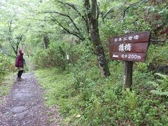 無事に下山した私達は岩殿山から車で10分程の日本三大奇矯の名勝猿橋へ来ました。駐車場は猿橋近隣公園の駐車場から遊歩道を歩いて猿橋へと向かうルート！5月には紫陽花が綺麗に咲いているそうです♪

猿橋近隣公園からのルーと詳細は以前猿橋に行った時の旅行記を参照してください。

https://4travel.jp/travelogue/10957837

そしてまた雨が降ってきたので、今度はちゃんとカッパを着て出発です（笑）