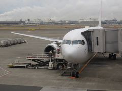 JL573で帯広へ。機材は767-300。