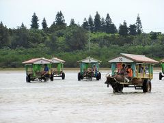 由布島までは水牛車で