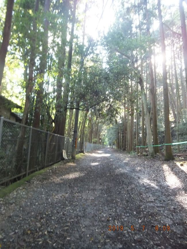 とても気持ちの良い道が続く