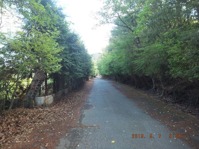 横峯峠からなんと、舗装道路が尾根伝いに続く