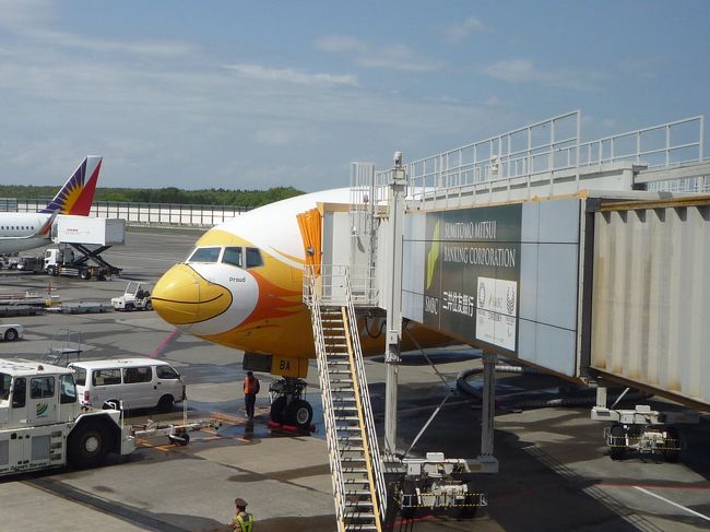 飛行機の先端くちばしは鳥”