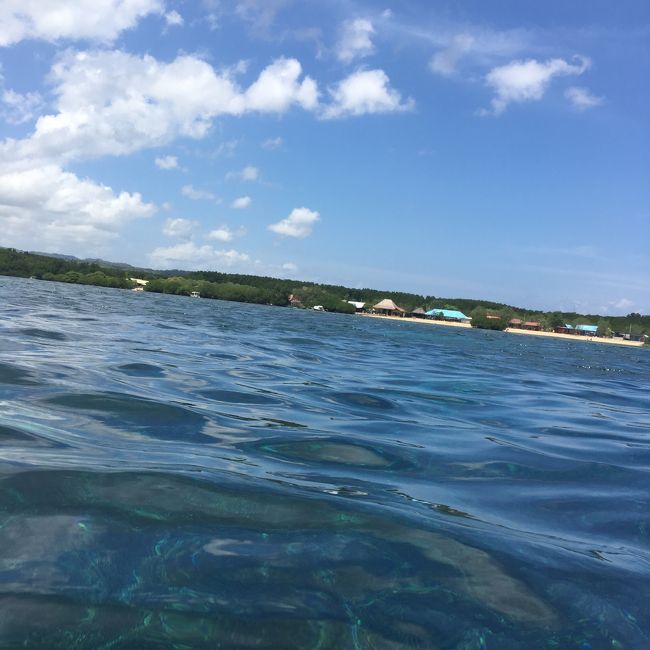 魚が苦手で近づいたらパニックになるかもと不安でしたが、気がついたら夢中で魚を追ってました。楽しかった～！！