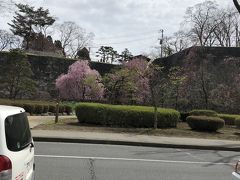 石割桜から歩いてもそんなに遠くはないけれど、でんでんむしでバス停盛岡城跡公園、駅からは左回りが近い
