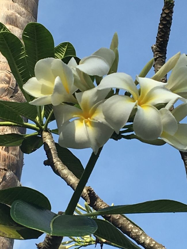 のんびりは最終日だけでしたがたくさん笑って楽しい夏休みを過ごせました。