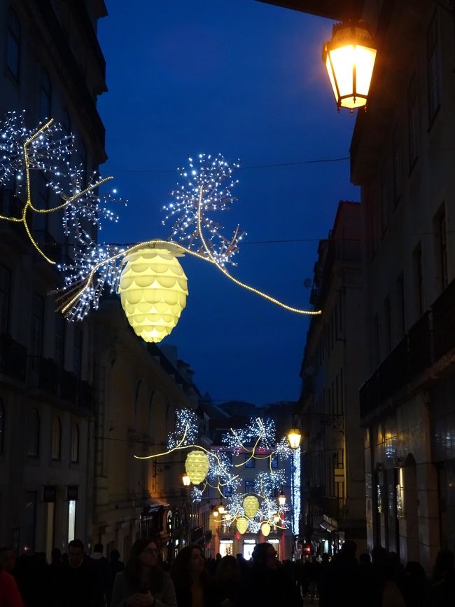 カルモ通りのイルミは松ぼっくり？