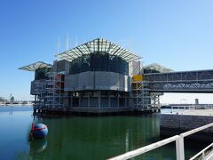 ここがリスボン水族館です。海に浮かんでるみたい。