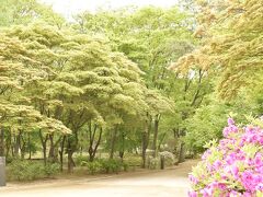 コスプレすると無料なので自撮り居ぬ間を探すの一苦労。ちなみに観光Weekで入場半額でした（シニアはいつでも無料）