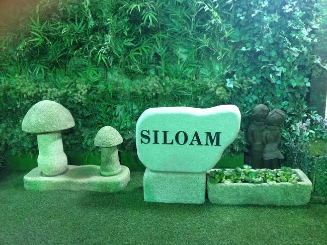 夜は歩いてシロアムサウナへ。<br />ゆっくりお風呂につかり、サウナに入って疲れを癒します。<br />チムチルバンに行けばよいのでホテルのシャワーを利用することがなくなってきました。<br /><br />ソウルに来たら、エステ、コスメ、チムチルバンが定番コースです！（笑）