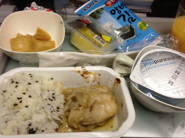 帰りの機内食。<br /><br />3日間めいいっぱい楽しんできました！