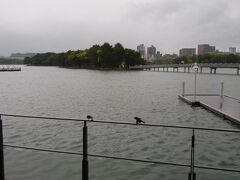 大濠公園　カフェのテラスでビールを飲んで一休みしていると、東京では見なくなったスズメが２羽雨宿りに入ってきた。