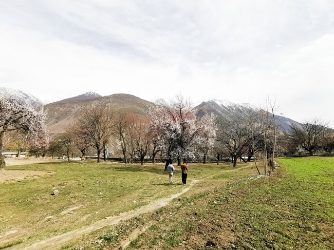 快晴･･･とはいかないまでも天気は良く、のどかな散策です。