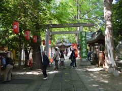西武新宿線田無駅に有ります、「田無神社」さんの鳥居・参道と奥に拝殿を見ます。
　（新緑がとても綺麗でした）