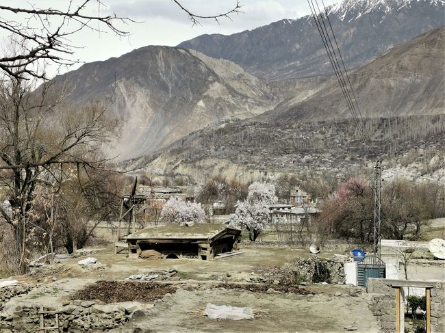 画像中央、地面に埋まったように見えるのは････忘れました。何かです。（そりゃ、そうだろう）