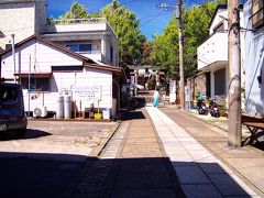 さらに散策を見つけると鳥居を発見！
神社でお参りすることに。