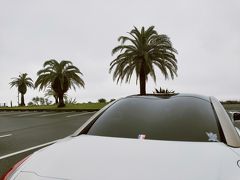 少し移動して道の駅フェニックスにやってきました。

天気が悪いのが残念ですが、雨は止みました。