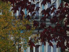 サントイルデフォンソ教会前の黄葉も
もう一度撮っておこうね(^^ゞ

赤青黄、3色のコントラストが美しい～