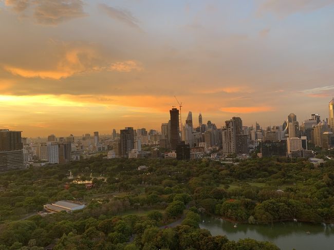 夕日がとっても綺麗でした。