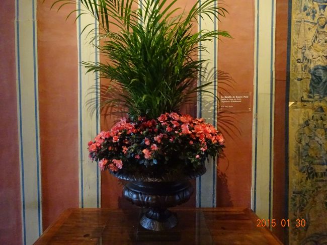 お花が見事です