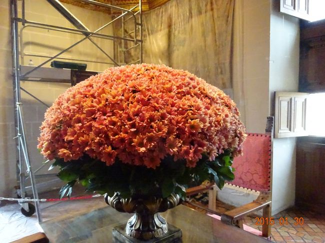 見事な花の様子