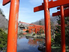高山稲荷神社の千本鳥居を見に行きました。お参りをして、鳥居を見てというとかなり階段を上り下りしますが、頑張った買いのある景色です。