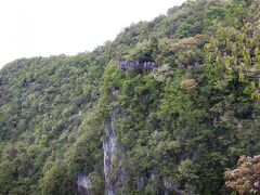 山頂駅から見えたこれから進む桟道遠景。
先頭をガイドさんが進み、最後尾を添乗員さんが歩くので
その間であれば好きに写真を撮りながら歩けました。