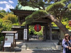 さて、文学館から長谷寺に歩いてきました。10分ほどで山門到着です。松と赤い提灯が目印。長谷観音とも言われている鎌倉の名刹。736年開創。坂東観音霊場　第4番札所。