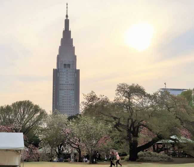 千駄ヶ谷-2 NTTドコモ代々木ビル 見え方-刻/所-変化 ☆新宿御苑/日本庭園からも』信濃町・千駄ヶ谷(東京)の旅行記・ブログ by  マキタン２さん【フォートラベル】