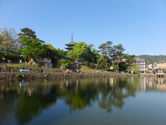 上賀茂神社からバスでホテルへ戻り、京都駅からJRで奈良へ到着。
散歩がてら猿沢の池まできました。奈良も天気いい！