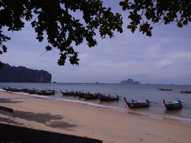 午前中から昼過ぎまではいつものようにアオナンビーチで何をするでもなくゴロゴロします。