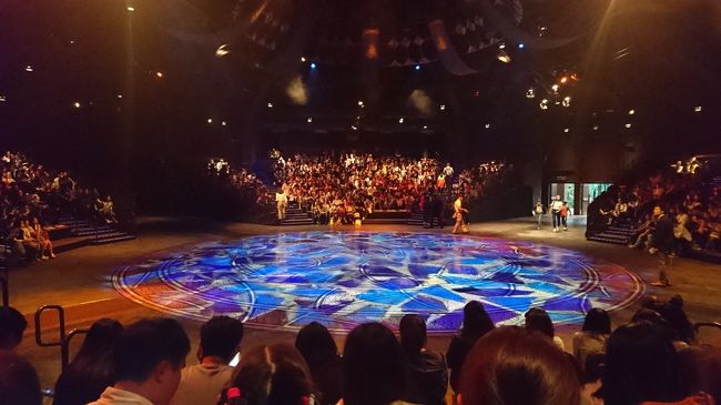 香港ディズニーランドで1番好きなライオンキング！<br />来たからには見ます♪