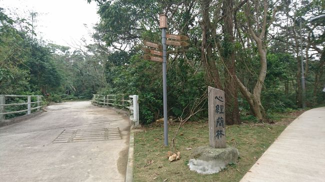 今回の本当の目的地はこちら。<br />さらに山道歩きます。<br />歩きやすい靴がいいです！<br />