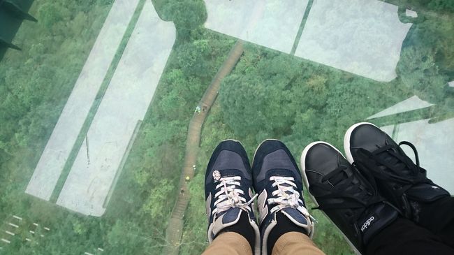 ゴンドラから下を見たら歩いている人がちらほらいて、どこからどこに行くんだろう。とか考えた。