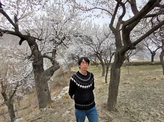 普段はほとんど露出しないのですが、咲き誇る花につられて･･･