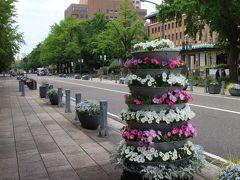 日本大通り....花一杯道
この季節、散歩に気持ち良い通り。