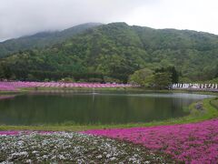 いよいよメイン会場
富士芝桜祭りに到着しました。

とにかく寒い！