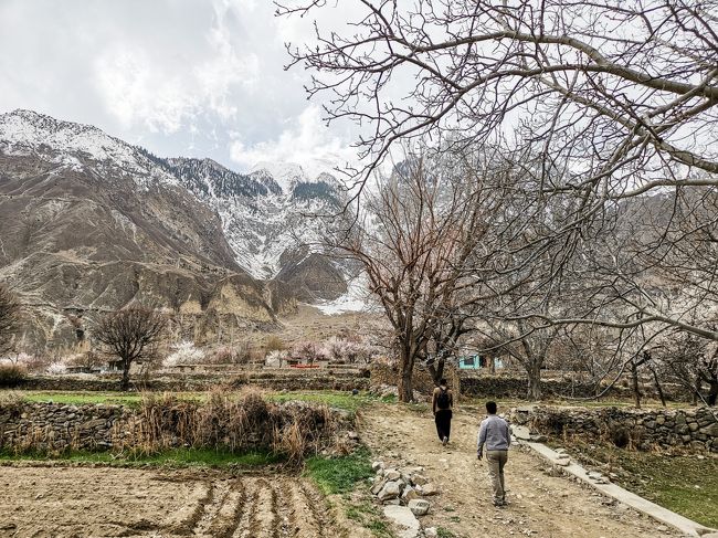 お花見ウォーキングは続きます。