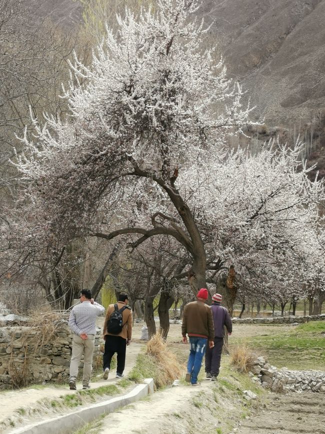 右側二人は地元男性